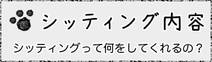 シッティング内容